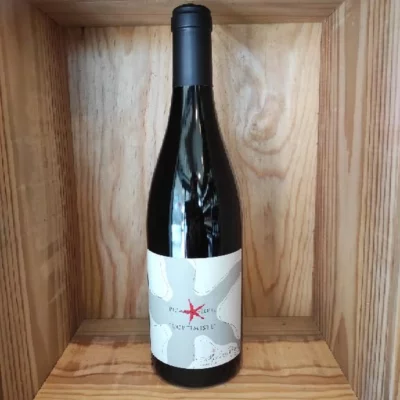 Domaine Le chemin des rêves – L'Optimiste