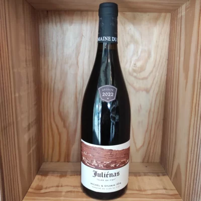 Domaine Clos du Fief - Juliénas